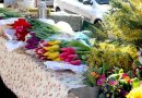 В Липецке стартовал аукцион на торговлю цветами к 8 марта