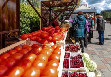 В Липецке откроется масштабная овощная ярмарка