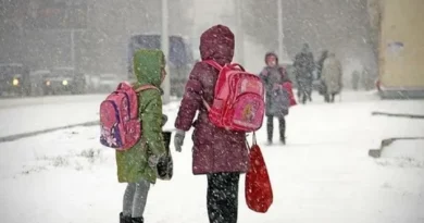 В Липецке из-за морозов школьники могут остаться дома